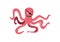 Pirate octopus with eyepatch - funny pink cartoon animal smiling