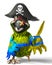 Pirate parrot cartoon