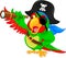Pirate parrot cartoon