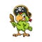 Pirate Parrot Cartoon Illustration