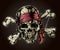 Pirate Skull with Bandana