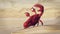 Pirates step on a crab 3D animation, cartoon