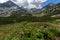 Pirin Mountain Landscape whit cloud adn flowers