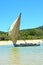 pirogue beach seaweed in indian ocean madagascar nosy be