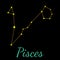 Pisces vector constellation with stars