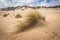 Piscinas beach dunes and waves in Green coast, Sardinia