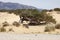 Piscinas, dune landscape, Sardinia, Italy