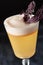 Pisco Sour with Rhubarb and Angostura Bitters on Black Background