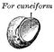 Pisiform Bone, vintage illustration