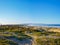 Pismo Beach State Park