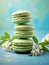 Pistachio macarons filled with matcha powder and vanilla cream on light turquoise background. French pastry, matcha macaroons