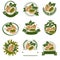 Pistachio nuts label and icon set. Collection pistachio nuts icons. Vector