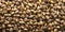 Pistachio nuts panorama. Background. Texture