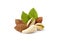 Pistachio nuts wits cashew, almonds and leaves in closeup isolated