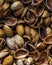 Pistachio shells background