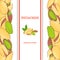 Pistachios nut vertical seamless border. Vector illustration with composition of a delicious pistacia nut fruit in the shell whole