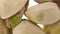 Pistachios in shells fall on glass against a bright white background. Pistachios macro bottom view.