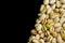 Pistachios texture and background . Tasty pistachios as background, copy space