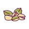 Pistashio color line icon. Nuts in the shell and with leaves. Pictogram for web page, mobile app, promo. UI UX GUI design element