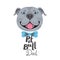 Pit Bull Dad. Image of happy father dog. American Staffordshire Pitbull Terrier face. Vector illustration