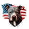 Pit bull dog head with USA flag pattern for 4th of July, American independence day and Veterans day