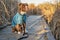 Pit bull dog in warm jacket on a walk