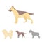 Pit bull, german shepherd, chow chow, schnauzer. Dog breeds set collection icons in cartoon style vector symbol stock