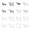 Pit bull, german shepherd, chow chow, schnauzer. Dog breeds set collection icons in outline,monochrome style vector