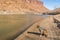 Pit bull on sandy shore of Colorado River