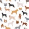 Pit bull type dogs. Seamless pattern. Different variaties of coat color bully dogs set