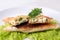Pita wrapped in a triangle of pita bread on a plate on a white background, with cottage cheese and herbs, breakfast and dessert,