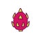 Pitahaya, dragon fruit doodle icon