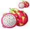 Pitaya Dragon fruit fruit. Cartoon vector icon