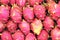 Pitaya fruits