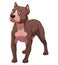 Pitbull Dog Cartoon Animal Illustration