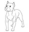 Pitbull Dog Cartoon Animal Illustration BW