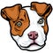 Pitbull Face Illustration. Wild. Face. Vector