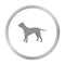 Pitbull vector icon in monochrome style for web