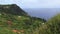 Pitcairn Island countryside