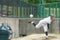 A pitcher taking pitching practice