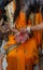 Pithi/Haldi Ceremony bride hands