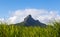 Piton de la Petite mountain in Mauritius panoramic