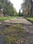 The pits and potholes on a rural road after rain in summer among the green trees, Russia