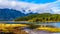 Pitt Lake with the Snow Capped Peaks of the Coast Mountain Range in the Fraser Valley of British Columbia