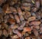 Pitted Dates  bulk storage  from date palm