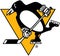 Pittsburgh Penguins Hockey Club Emblem. USA.