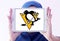 Pittsburgh Penguins ice hockey team logo
