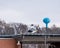 Pittsburgh, Pennsylvania, USA January 25, 2022 A Stat Medevac helicopter on a helipad at St Margaret Hospital