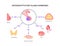 Pituitary gland hormones