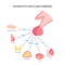 Pituitary gland hormones